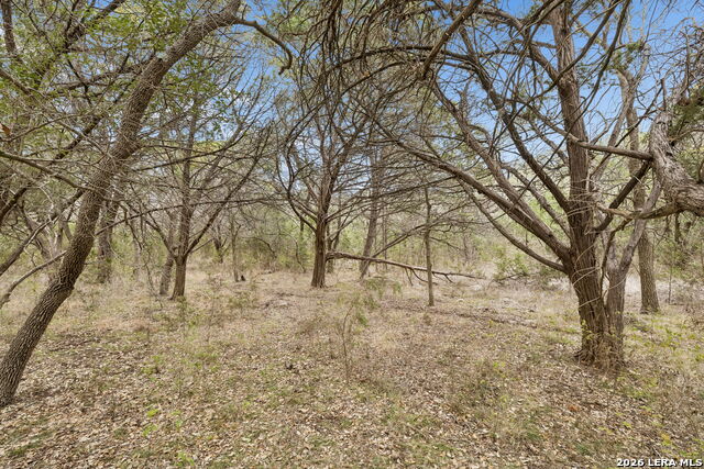 Image 18 of 66 For 1398 Lazy Forest