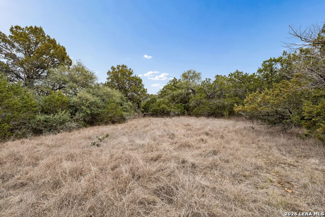 Image 24 of 66 For 1398 Lazy Forest