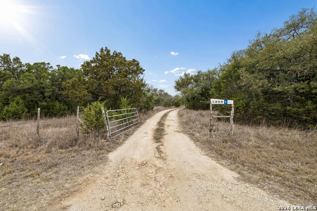 Image 28 of 66 For 1398 Lazy Forest