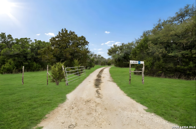 Image 3 of 66 For 1398 Lazy Forest