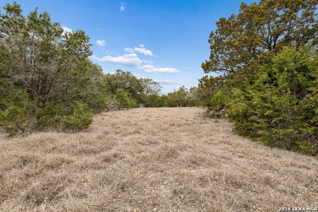 Image 30 of 66 For 1398 Lazy Forest