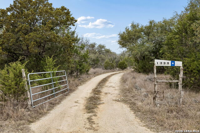 Image 31 of 66 For 1398 Lazy Forest