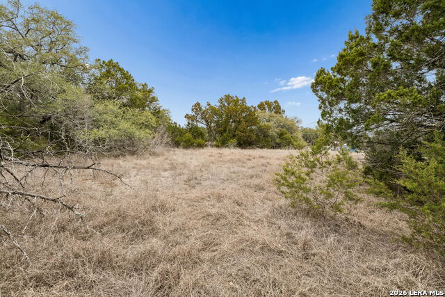 Image 32 of 66 For 1398 Lazy Forest