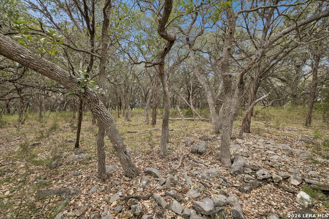 Image 33 of 66 For 1398 Lazy Forest