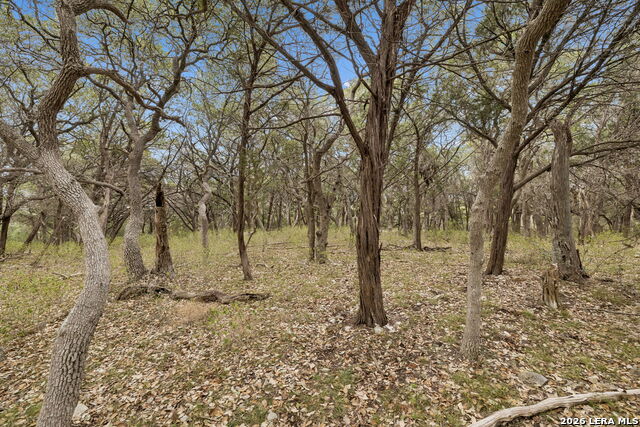 Image 34 of 66 For 1398 Lazy Forest