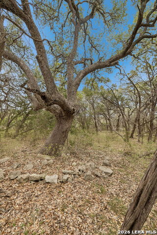 Image 35 of 66 For 1398 Lazy Forest