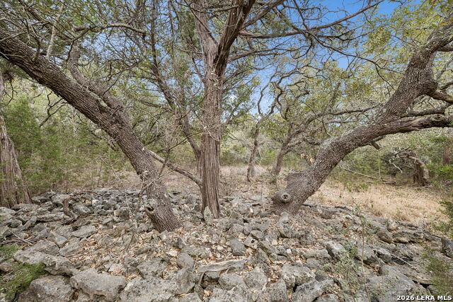 Image 9 of 66 For 1398 Lazy Forest