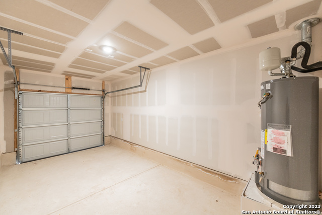 Image 12 of 24 For 1006 Western Whipbird