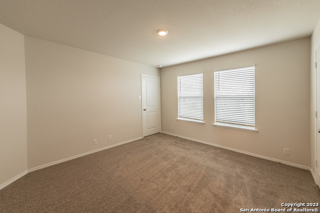 Image 14 of 24 For 1006 Western Whipbird