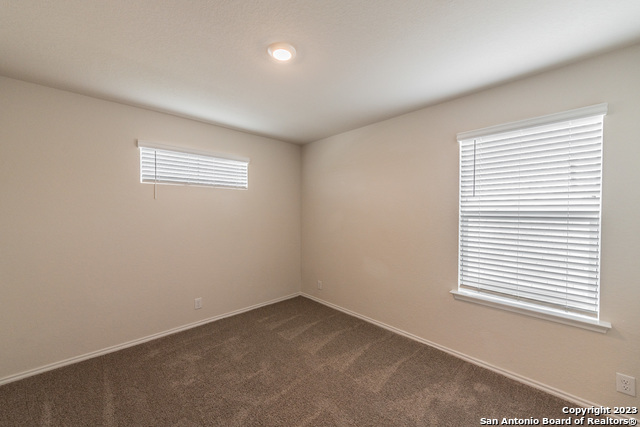 Image 18 of 24 For 1006 Western Whipbird