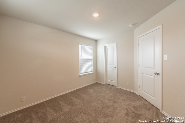 Image 20 of 24 For 1006 Western Whipbird