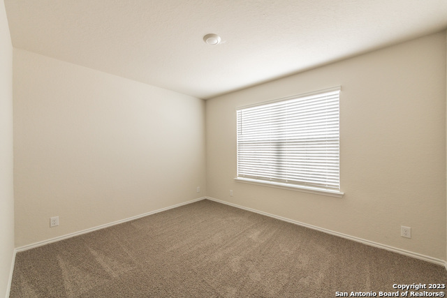 Image 21 of 24 For 1006 Western Whipbird