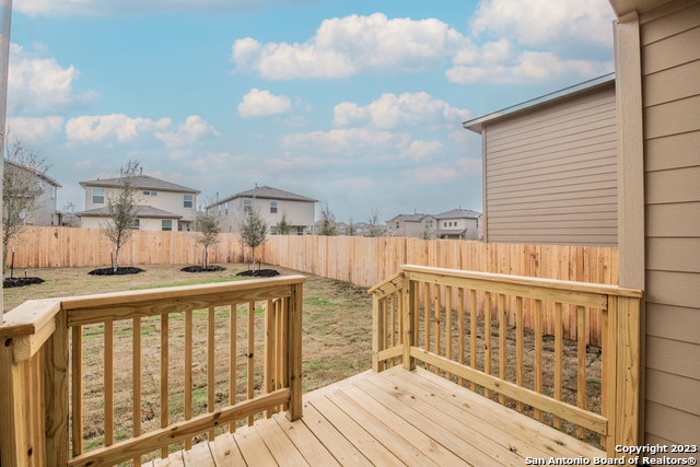 Image 23 of 24 For 1006 Western Whipbird