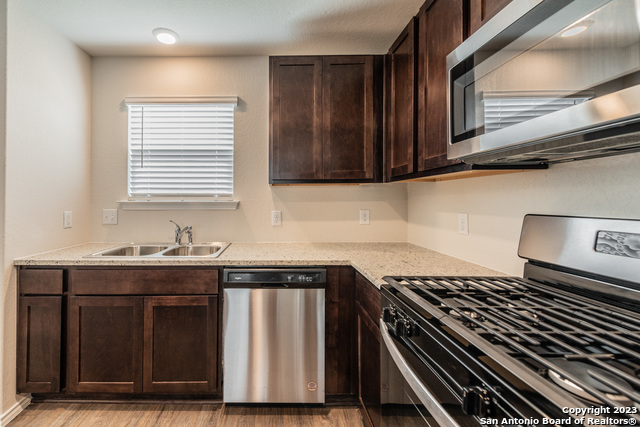 Image 7 of 24 For 1006 Western Whipbird