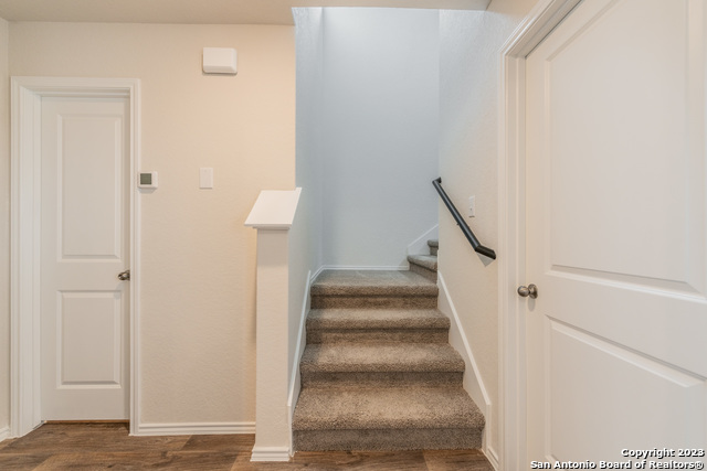 Image 9 of 24 For 1006 Western Whipbird