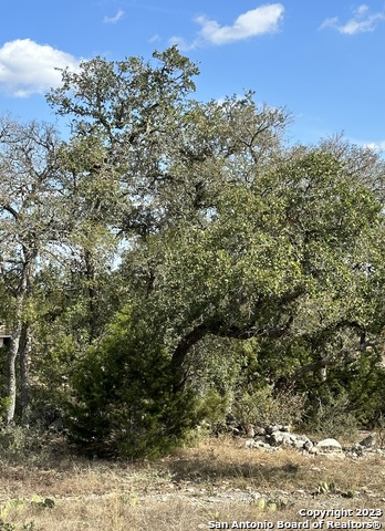 Image 9 of 11 For 434 George Dolson