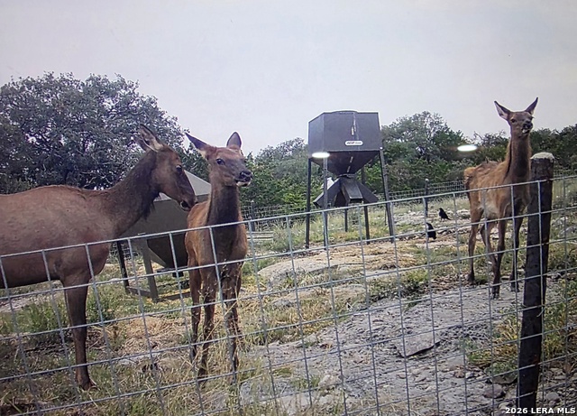 Image 68 of 90 For 15019 County Road 310