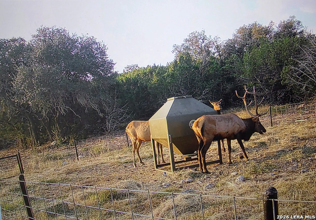 Image 70 of 90 For 15019 County Road 310