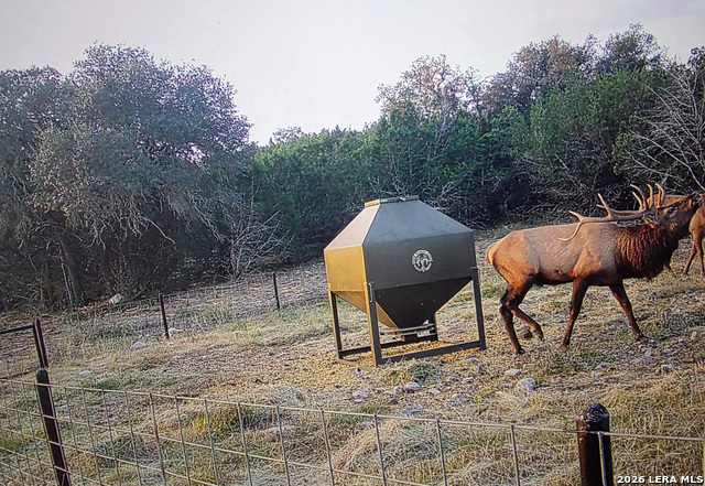 Image 71 of 90 For 15019 County Road 310