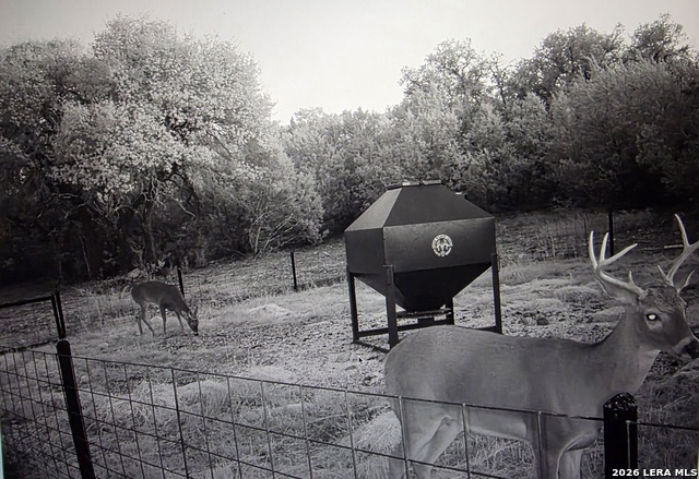 Image 72 of 90 For 15019 County Road 310