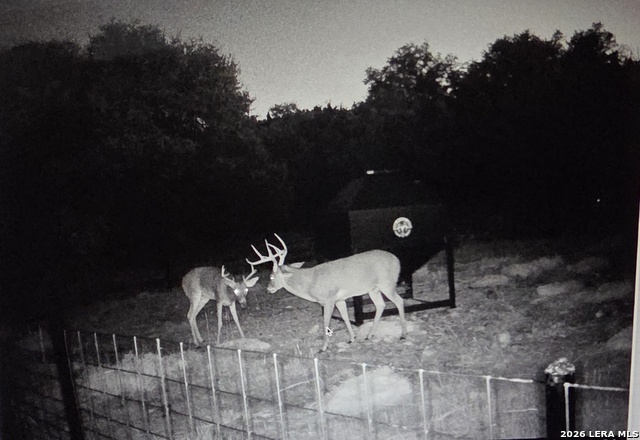 Image 73 of 90 For 15019 County Road 310