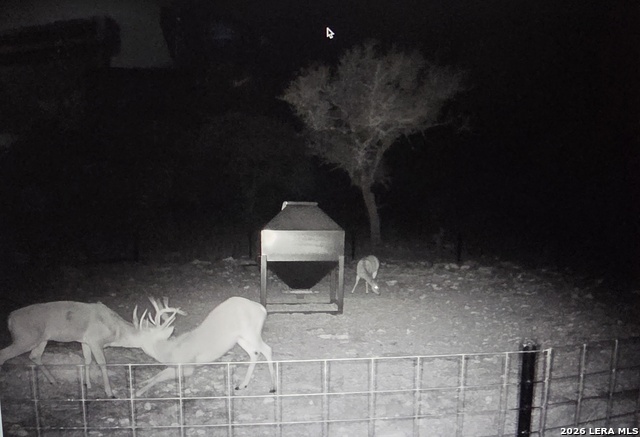 Image 75 of 90 For 15019 County Road 310