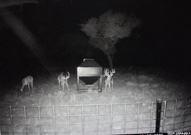 Image 77 of 90 For 15019 County Road 310