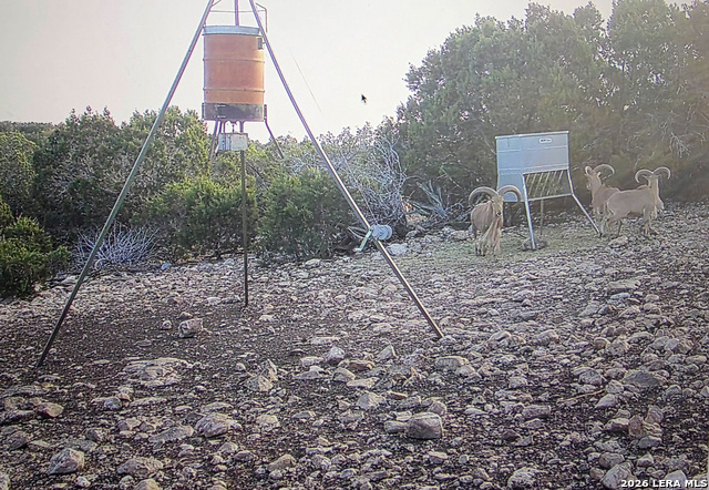 Image 78 of 90 For 15019 County Road 310