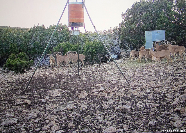 Image 79 of 90 For 15019 County Road 310