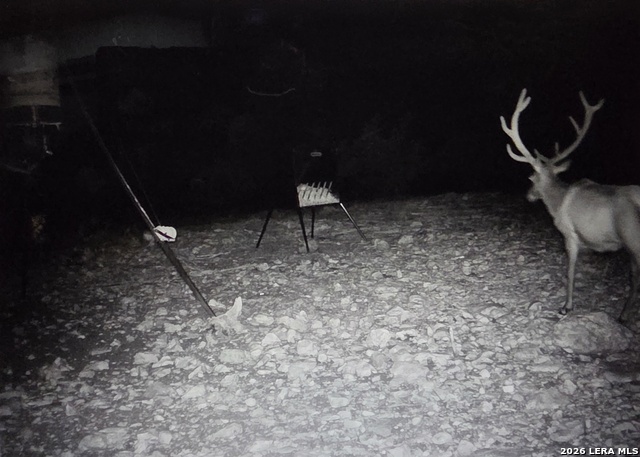 Image 80 of 90 For 15019 County Road 310