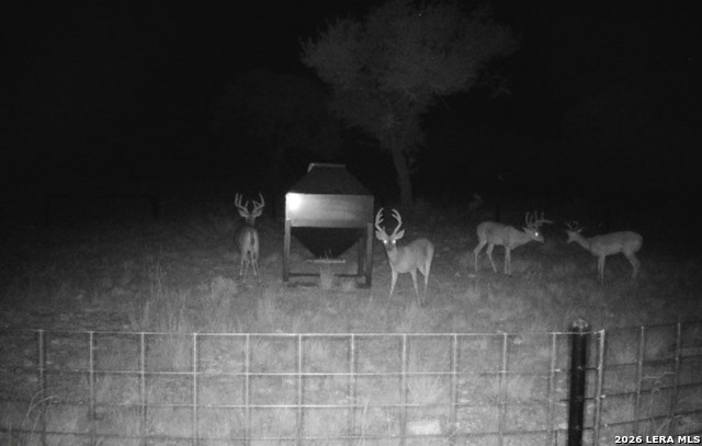 Image 82 of 90 For 15019 County Road 310