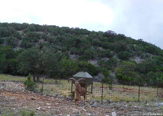 Image 83 of 90 For 15019 County Road 310