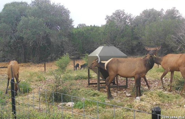 Image 84 of 90 For 15019 County Road 310