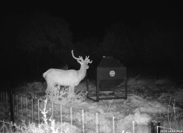 Image 85 of 90 For 15019 County Road 310