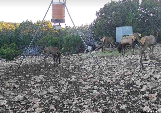 Image 86 of 90 For 15019 County Road 310