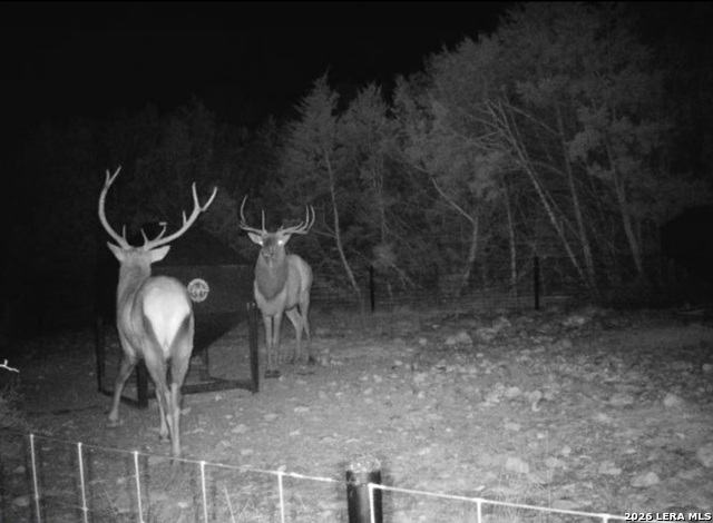 Image 87 of 90 For 15019 County Road 310