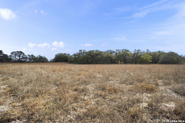 Image 10 of 11 For 246 Shamrock Dr.,