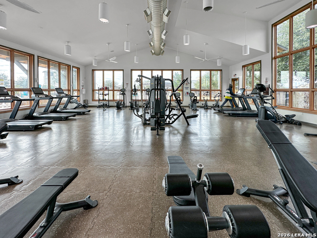 Image 36 of 36 For 9533 Bicknell Sedge