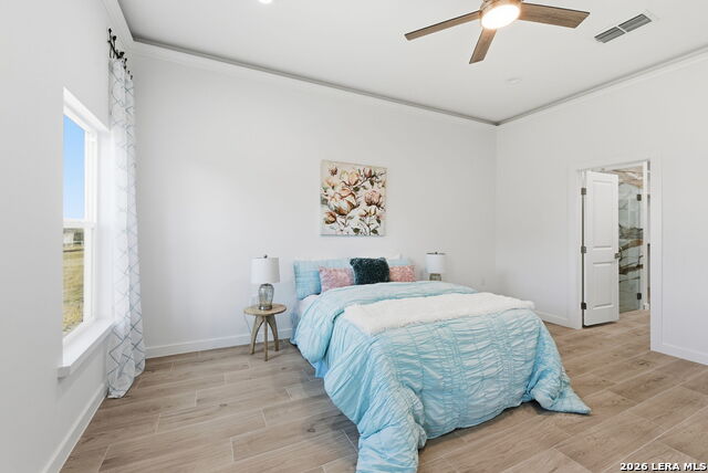 Image 20 of 43 For 7801 Yellow Bark