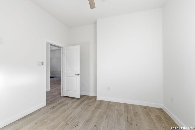 Image 32 of 43 For 7801 Yellow Bark