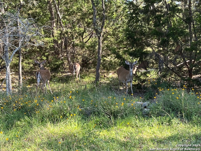 Image 8 of 11 For 27246 & 27280 Kent Oaks