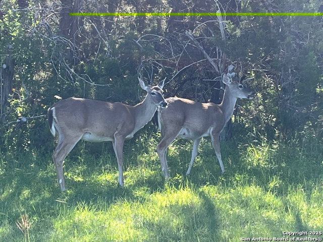 Image 9 of 11 For 27246 & 27280 Kent Oaks