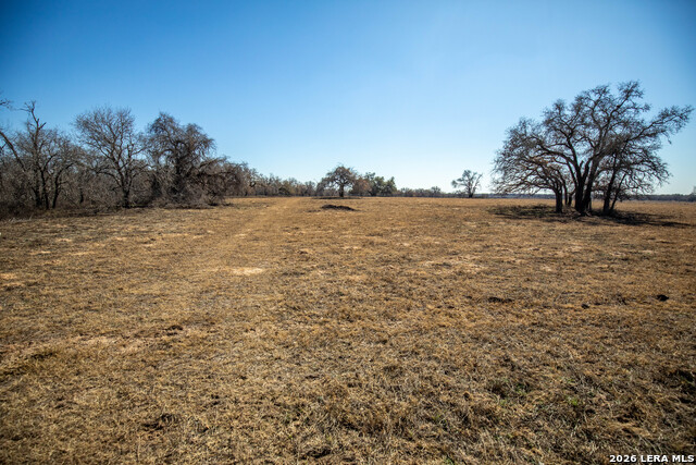 Listing photo id 8 for 1387 County Road 304