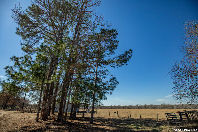 Listing photo id 13 for 1387 County Road 304