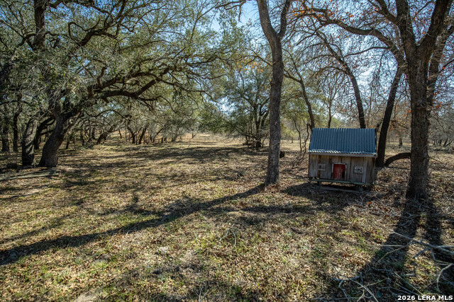 Listing photo id 19 for 1387 County Road 304