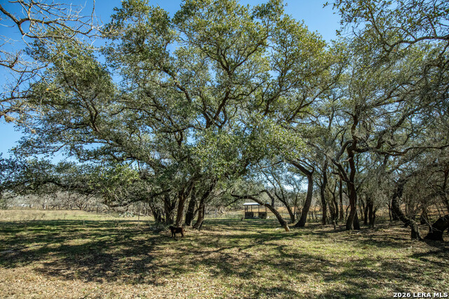 Listing photo id 22 for 1387 County Road 304