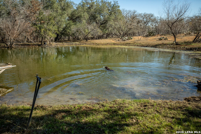 Listing photo id 25 for 1387 County Road 304