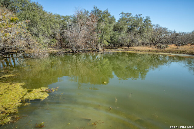 Listing photo id 26 for 1387 County Road 304