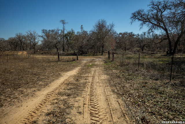 Listing photo id 32 for 1387 County Road 304