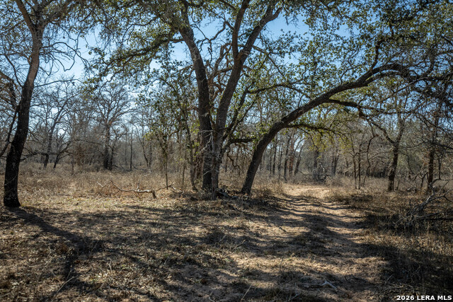 Listing photo id 33 for 1387 County Road 304